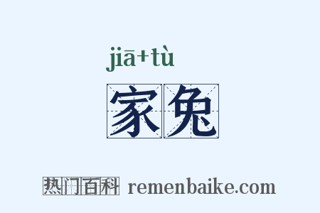 家兔是什么意思的图片